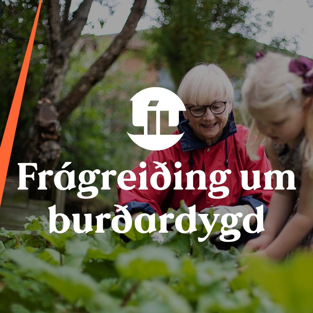 Frágreiðing um burðardygd 2025