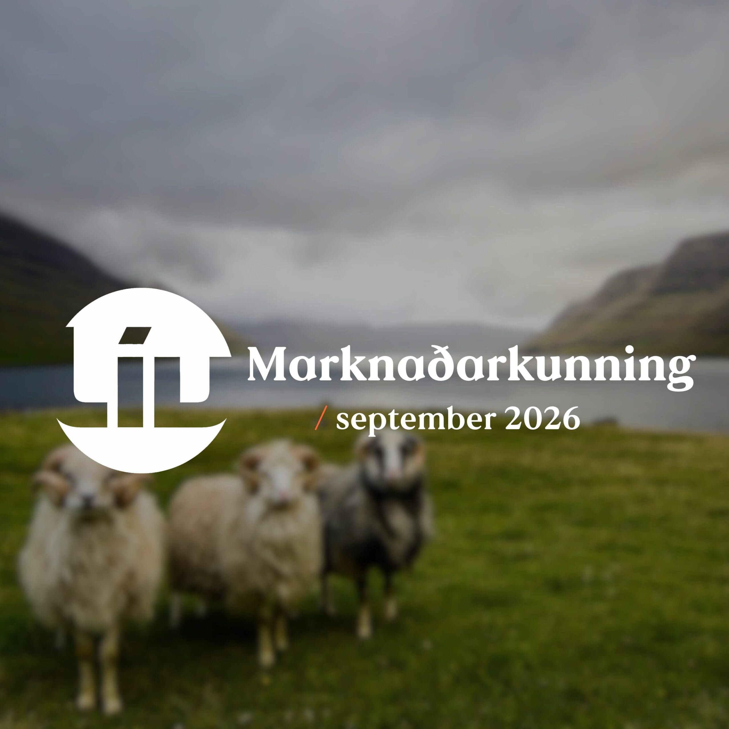 Marknaðarkunning fyri september 2026